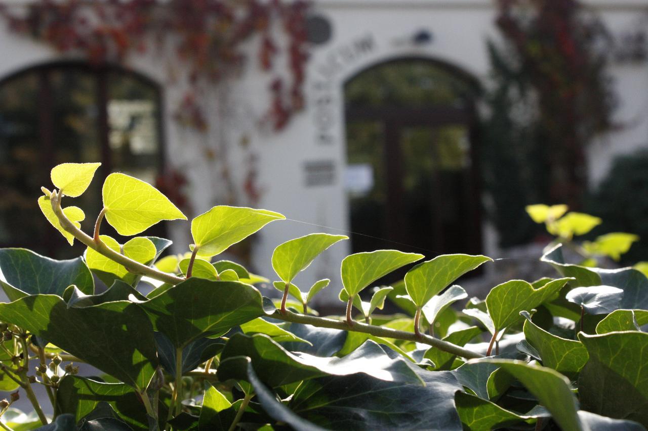 The Zen Hotel - Posticum أرادايا المظهر الخارجي الصورة